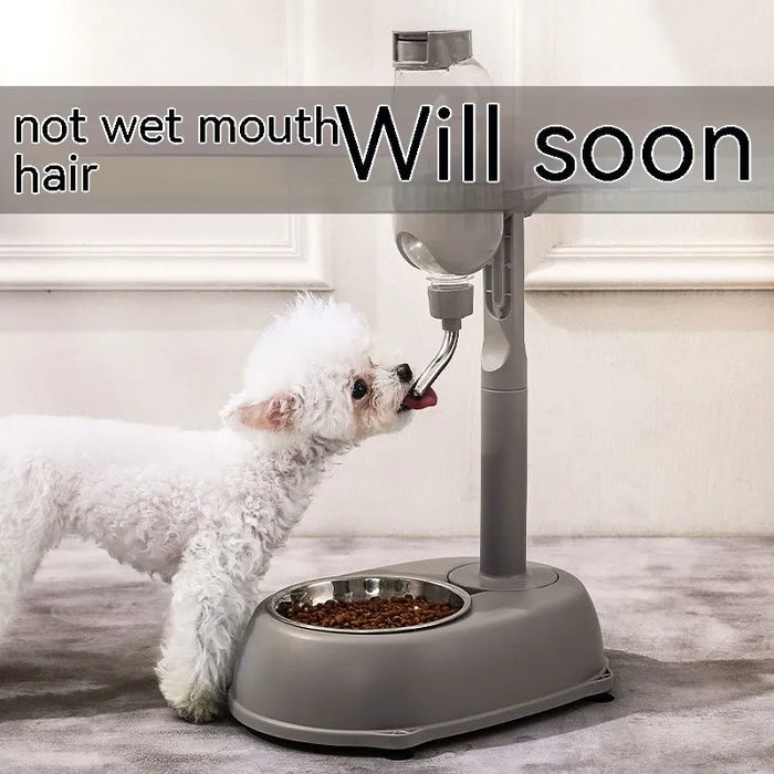 Non Wet Mouth Hanging Dog Water Dispenser For Pets