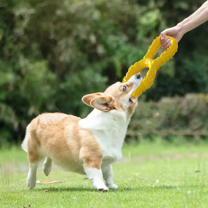 Interactive Teeth Grinding Machine Pet Toys: Pull Ring Dog Chewing Toys